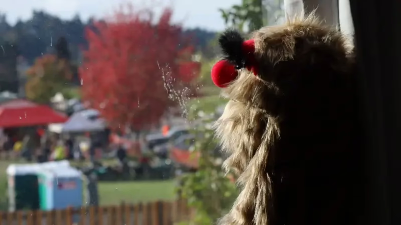 Squatch